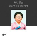 [부고] 김종성회원 빙모께서 2023년 3월 13일 별세하셨기에 삼가알려드립니다 이미지