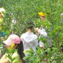 서여주세종영농조합법인 이미지