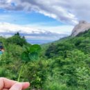 더상춘한의원 이미지