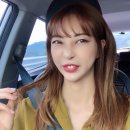 서울특수가발이용