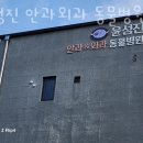 윤성진 안과/외과 동물병원 이미지