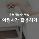 한국체대 인성금강 태권도 이미지