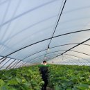 남준농장 이미지