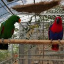 맘마농장 이미지