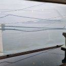 게으른고양이 이미지