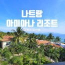 [나트랑 아미아나 리조트] 디럭스 오션뷰 숙소 후기 ｜수영장·조식·스노쿨링·장단점까지