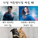에이이미지 이미지