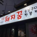백운돼지꿈 이미지