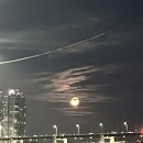 빽다방 바나나라떼 / 편의점 뚱바 바나나라떼 후기