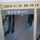 일산미용실 : 라페스타 앙끄마노헤어살롱 두피/헤어클리닉 후기.