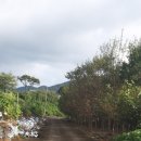 송천마을회관 이미지