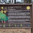 대송면 홍계숲 이미지