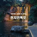제주 서귀포 밤에 가볼만한곳 천지연폭포 야간개장 다녀온 후기