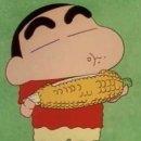 콩게미 이미지