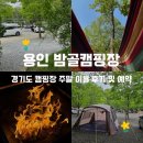 서울 근교 경기도 용인 캠핌장 밤골캠핑장 주말 이용 후기 + 예약