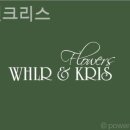 휠러앤크리스