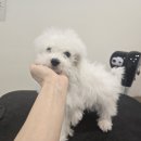 멈머링(mummuring) 네이버블로그