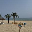 나인비치37 이미지