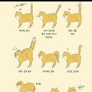 로이헤어 이미지
