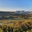 수원-0594 이미지