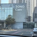 봉봉키친 더 펫 | 소노캄 고양 펫룸 설 연휴 후기｜서울 근교 펫 동반 호텔 총정리 (미니바 무료)