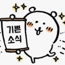 제이스타파트너스 | [W-08] 내돈내산 가성비 본식스냅, 본식DVD ㅣ 스냅스타 계약후기(추천인코드 공유) ㅣ 성당결혼(혼배미사)