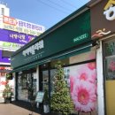 시나플라워 이미지