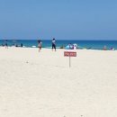 하조대해수욕장 야영장 이미지