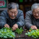 합산경로당 이미지