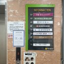 전주효자동미용실 추천 하이퍼헤어 전주신시가지점 클리닉 후기(구 모즈토리)