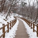 우면산3-8 이미지