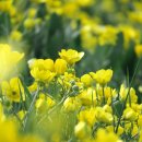 금양실업 이미지