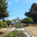 표선면-3 이미지