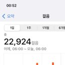 상지타코 이미지