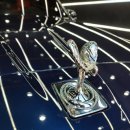 모터쿠마 이미지