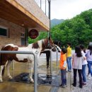 태백승마클럽 이미지