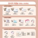 코코호도광주