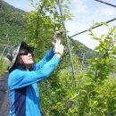 백운골농장 이미지