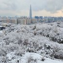 117 이미지