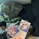세븐일레븐인천가정고점 | 🐠 오키나와 여행 3일차 | 츄라우미 수족관, 라멘 단보, 편의점털이💙