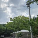 평지돌담집 | 대구 경산 근교 청도 평상 대여 돌담집펜션 찐후기