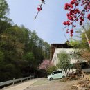 남천산장 이미지