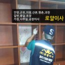 수원-0832 이미지