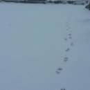 설국펜션 이미지