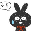 한성카 이미지