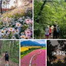 오감식품 이미지