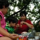 개미 농장 이미지