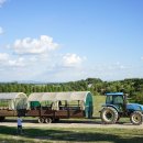 상하하늘목장 이미지