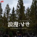 스펀지 이미지