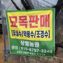 상월로 | ♥상월농원_묘목구입 후기♥
